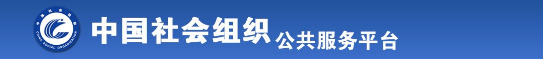 亚洲插逼逼全国社会组织信息查询